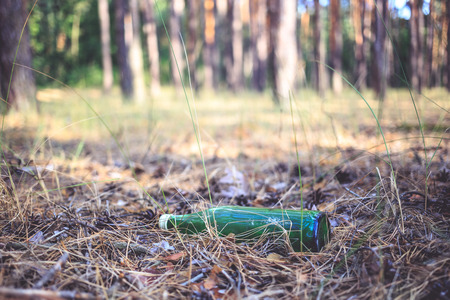 A green glass bottle lies in a pine forest. Environmental pollution. Garbage in nature.の写真素材