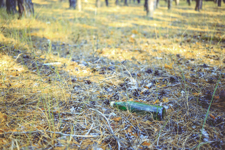 A green glass bottle lies in a pine forest. Environmental pollution. Garbage in nature.の写真素材