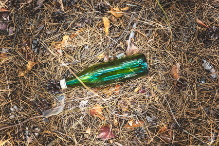 A green glass bottle lies in a pine forest. Environmental pollution. Garbage in nature.の写真素材