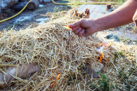 Burning pig hair off with dry straw before the butchering.の写真素材