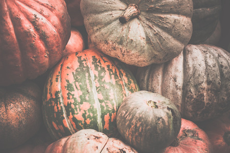 Heap of dirty pumpkins.の写真素材