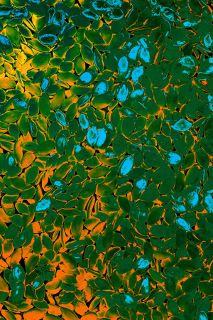 Beautiful abstract background for designの写真素材