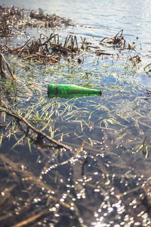 Green beer bottle in the pond. The concept of environmental pollutionの写真素材