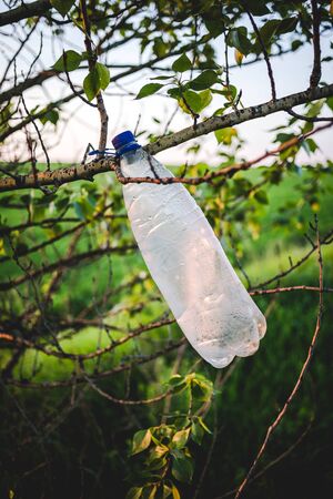 Empty plastic bottle on a tree at sunset. The concept of environmental pollution.の写真素材