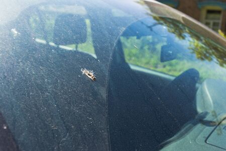 Bird droppings on the car. Bad parking conceptの写真素材