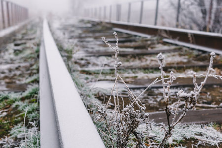 Rails in hoarfrost. Misty autumn morning