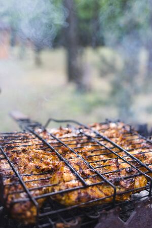 Grilled marinated chicken on a metal grid.の写真素材
