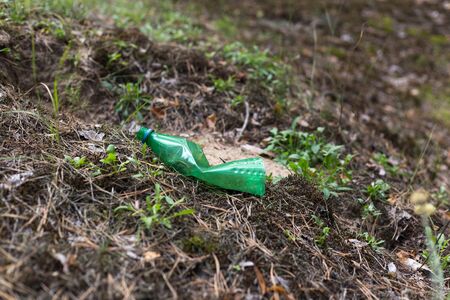 Green plastic bottle on the ground in a pine forest. Environmental Pollution Conceptの写真素材