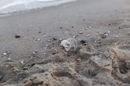A small plastic cup on the seashore. Environmental pollution concept.