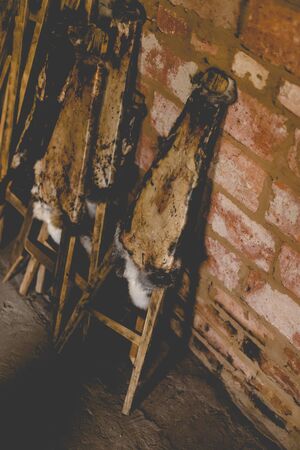 The traditional process of stretching rabbit skins for drying. Toned photo.の写真素材