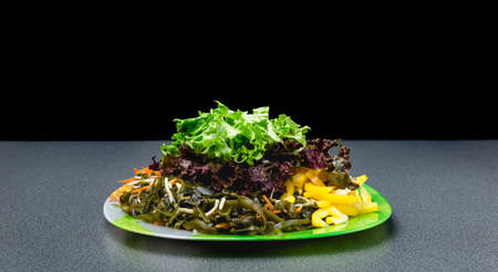 Cute little girl with white hamster isolated on white backgroundの写真素材