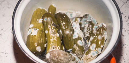 Rotten, spoiled green cucumbers covered with mold and mucus in a panの写真素材
