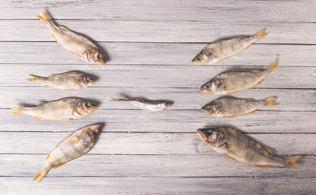 Composition of dried fish on a wooden table. The big fish attacks the small fish. Studio photo.