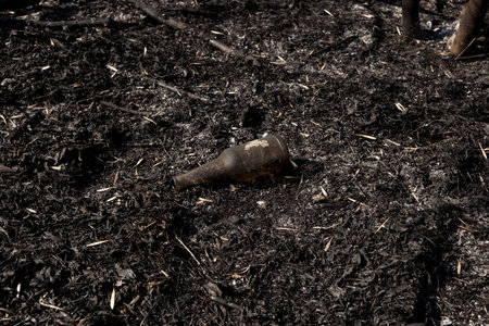 Glass bottle on the ground surrounded by ash. Forest fire. Environmental pollution. Consequences of...