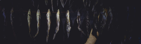 Dry fish hanging on a rope in a dark room. The concept of cooking dried fish at home.