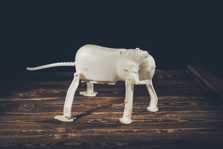 Plastic frame of a robot dog on a wooden background. A studio photo with hard lighting.の写真素材