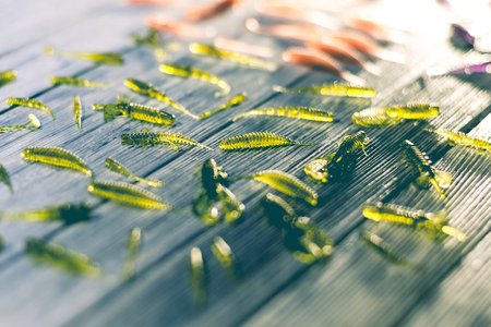 Nice view of fishing silicone baits on a wooden background. Studio photo