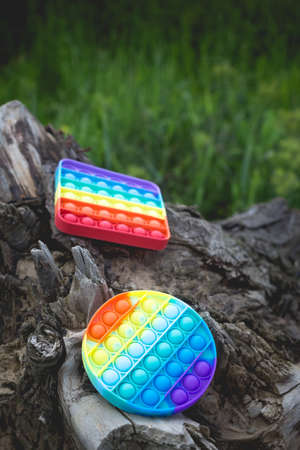 A square and round antistress toy lies outside on an old dry tree stump.の写真素材