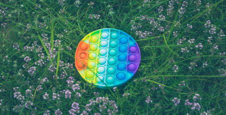 A round anti-stress toy  lies on the grass in the daytime.の写真素材