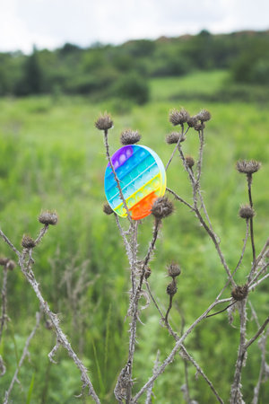A rainbow colored  anti stress toy lies on an old, dry, dead weed.の写真素材