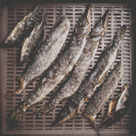 The process of preparing dried fish with an automatic dryer at home.の写真素材