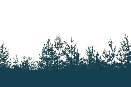 Silhouette of a pine forest and sky. Place for the textの写真素材