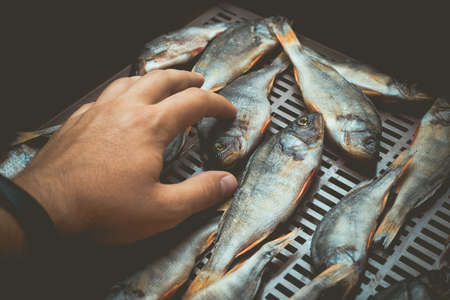The process of preparing dried fish with an automatic dryer at home.の写真素材