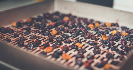 The process of cooking dry red cherries, yellow cherries in an electric automatic dryer at home.の写真素材