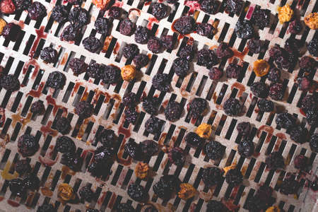 The process of cooking dry red cherries, yellow cherries in an electric automatic dryer at home.の写真素材