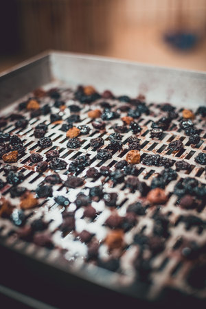 The process of cooking dry red cherries, yellow cherries in an electric automatic dryer at home.の写真素材