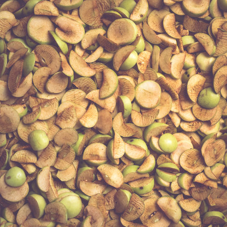 The process of home cooking dried fruits in an electric dryer. The stage of dehydration of fruits for storage and consumption in the winter. Lots of dehydrated apples.の写真素材