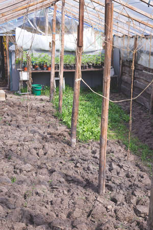 Small do-it-yourself greenhouse. Land prepared for planting.の写真素材