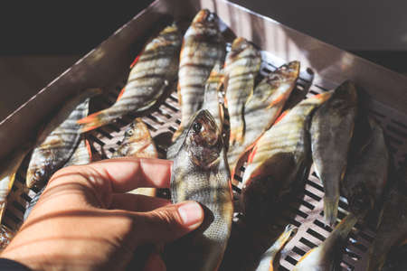 The process of preparing dried fish with an automatic dryer at home.の写真素材