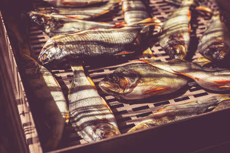 The process of preparing dried fish with an automatic dryer at home.の写真素材