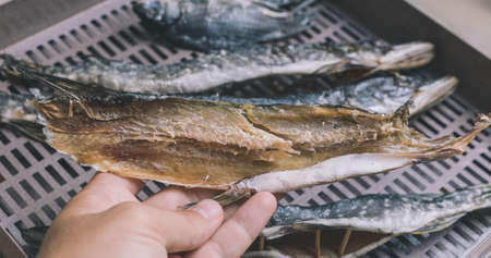 The process of preparing dried fish with an automatic dryer at home.の写真素材