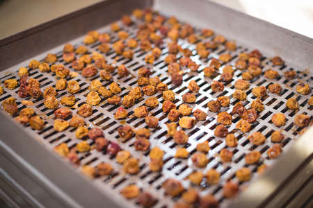 The process of cooking dry yellow cherries in an electric automatic dryer at home.の写真素材