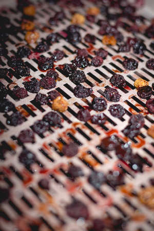 The process of cooking dry red cherries, yellow cherries in an electric automatic dryer at home.の写真素材