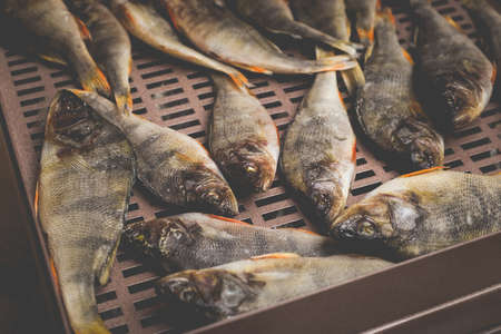 The process of preparing dried fish with an automatic dryer at home.の写真素材