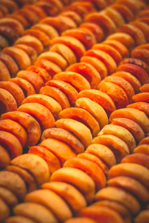 The process of home cooking dried fruits in an electric dryer. The stage of dehydration of fruits for storage and consumption in the winter. Lots of dehydrated apricots.の写真素材