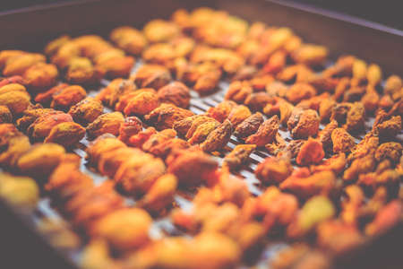 The process of home cooking dried fruits in an electric dryer. The stage of dehydration of fruits for storage and consumption in the winter. Lots of dehydrated apricots.の写真素材