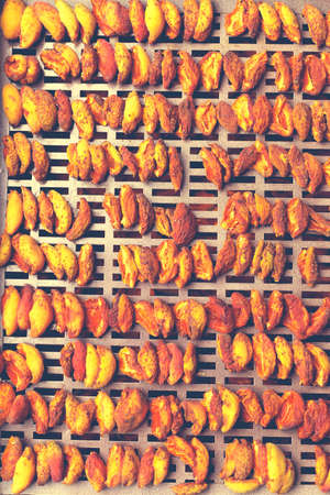 The process of home cooking dried fruits in an electric dryer. The stage of dehydration of fruits for storage and consumption in the winter. Lots of dehydrated apricots.の写真素材
