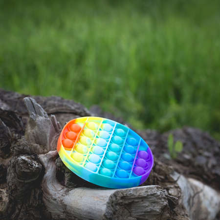 A round antistress toy lies outside on an old dry tree stump.の写真素材