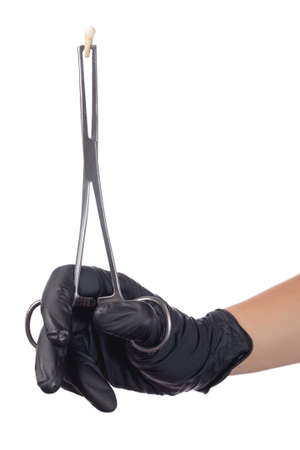 A doctor's hand in a black medical glove holds a child's molar tooth in a clamp. Studio photo isolated on white background.の写真素材