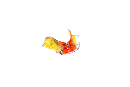 Colorful children's orthodontic appliance isolated on white background. Concept of oral health in childhood. studio photo.の写真素材