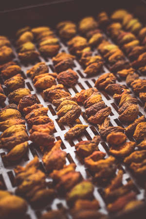 The process of home cooking dried fruits in an electric dryer. The stage of dehydration of fruits for storage and consumption in the winter. Lots of dehydrated apricots.の写真素材