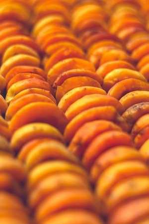 The process of home cooking dried fruits in an electric dryer. The stage of dehydration of fruits for storage and consumption in the winter. Lots of dehydrated apricots.の写真素材