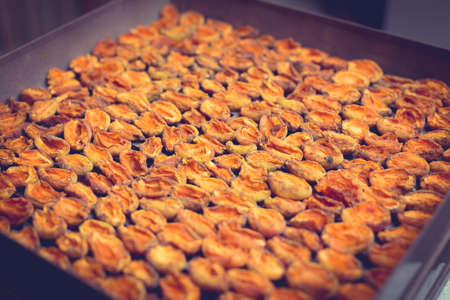 The process of home cooking dried fruits in an electric dryer. The stage of dehydration of fruits for storage and consumption in the winter. Lots of dehydrated apricots.の写真素材