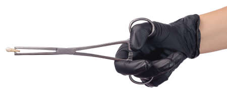 A doctor's hand in a black medical glove holds a child's molar tooth in a clamp. Studio photo isolated on white background.の写真素材