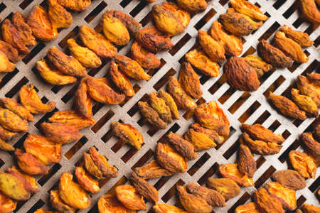 The process of home cooking dried fruits in an electric dryer. The stage of dehydration of fruits for storage and consumption in the winter. Lots of dehydrated apricots.の写真素材