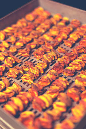 The process of home cooking dried fruits in an electric dryer. The stage of dehydration of fruits for storage and consumption in the winter. Lots of dehydrated apricots.の写真素材